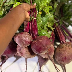 beetroot